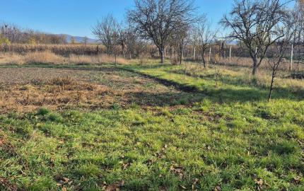 RD v Méra, na peknom pozemku