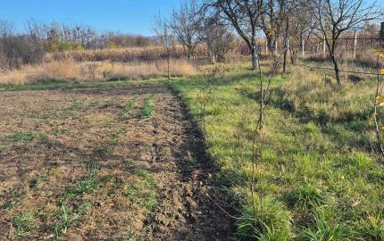 RD v Méra, na peknom pozemku