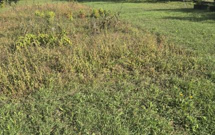 RD s veľkým potenciálom a ideálnym pozemkom v Méra