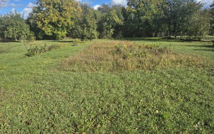 RD s veľkým potenciálom a ideálnym pozemkom v Méra
