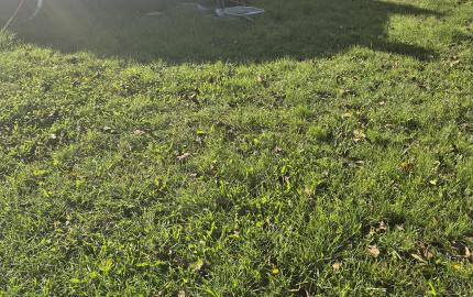 RD s veľkým potenciálom a ideálnym pozemkom v Méra