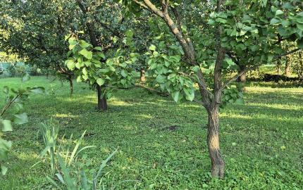 Vidiecky dom s výnimočnou záhradou v obci Méra