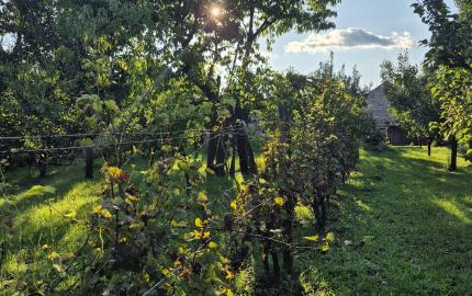 Vidiecky dom s výnimočnou záhradou v obci Méra