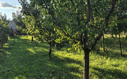 Vidiecky dom s výnimočnou záhradou v obci Méra