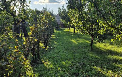 Vidiecky dom s výnimočnou záhradou v obci Méra