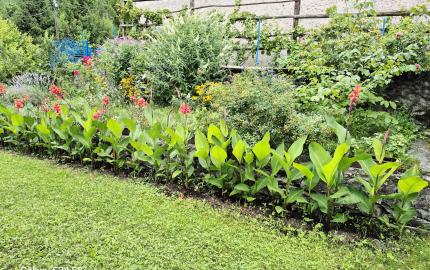 Gazdovský dom s výhľadom na hrad Füzér – 3400 m2 pozemok v objatí prírody