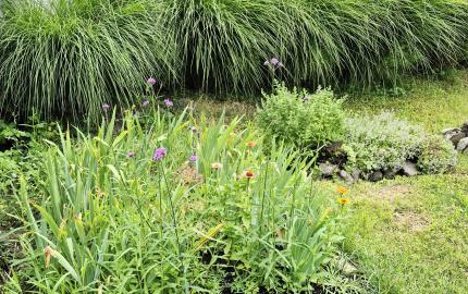 Gazdovský dom s výhľadom na hrad Füzér – 3400 m2 pozemok v objatí prírody