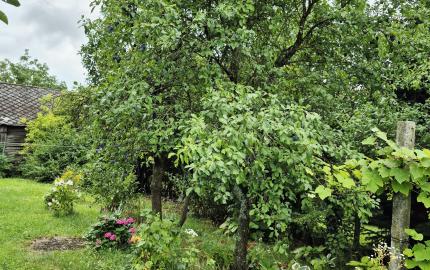 Gazdovský dom s výhľadom na hrad Füzér – 3400 m2 pozemok v objatí prírody