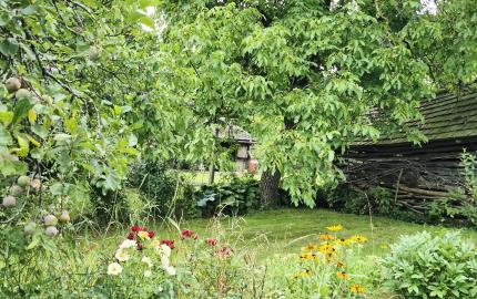 Gazdovský dom s výhľadom na hrad Füzér – 3400 m2 pozemok v objatí prírody