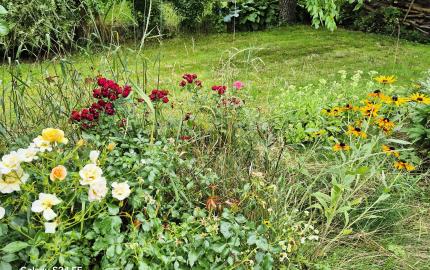 Gazdovský dom s výhľadom na hrad Füzér – 3400 m2 pozemok v objatí prírody
