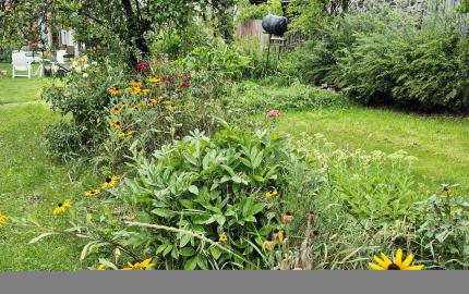 Gazdovský dom s výhľadom na hrad Füzér – 3400 m2 pozemok v objatí prírody