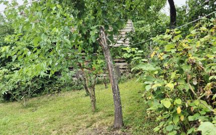 Gazdovský dom s výhľadom na hrad Füzér – 3400 m2 pozemok v objatí prírody