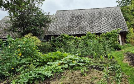 Gazdovský dom s výhľadom na hrad Füzér – 3400 m2 pozemok v objatí prírody