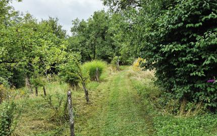 Gazdovský dom s výhľadom na hrad Füzér – 3400 m2 pozemok v objatí prírody