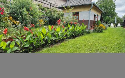 Gazdovský dom s výhľadom na hrad Füzér – 3400 m2 pozemok v objatí prírody