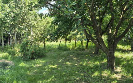 ZREKONŠTRUOVANÝ, GAZDOVSKÝ DOM S GÁNKOM v Méra, Maďarsko