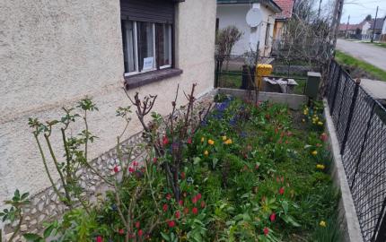 DOM S OBYTNOU ČASŤOU + PRIESTOR NA DROBNÉ PODNIKANIE V MÉRA