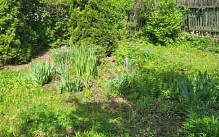 Úžasná záhrada, dobrá lokalita, menší dom v MÉRA