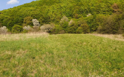 REZERVOVANÝ- EXKLUZÍVNE LEN PRE NÁROČNÝCH HOLLÓHÁZA