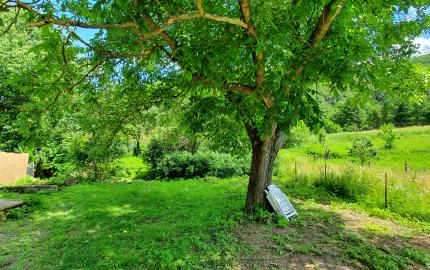 REZERVOVANÝ- EXKLUZÍVNE LEN PRE NÁROČNÝCH HOLLÓHÁZA