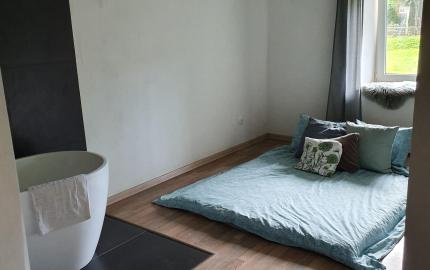 REZERVOVANÉ- ČAROVNÝ A UNIKÁTNY - NOVO ZREKONŠTRUOVANÝ DOM V HOLLÓHÁZA