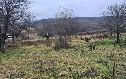 Rodinný dom, pozemok 3550 m2 v Gönc (Maďarsko)