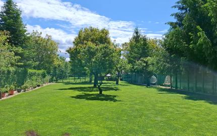 ELEGANTNÉ & NADČASOVÉ - DVOJGENERAČNÝ DOM LEN 25 KM OD KOŠÍC –SÚKROMIE A KOMFORT BEZ KOMPROMISOV