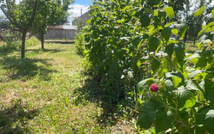 Stavebný pozemok len 1 km od SR hranice – Tornyosnémeti (HU)
