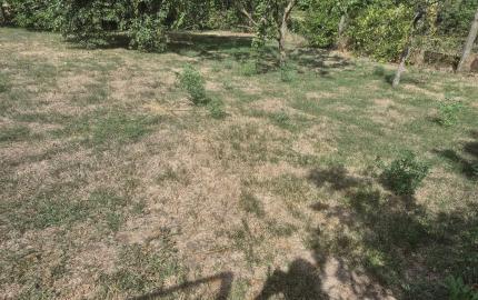 3-izbový kamenný RD Hernádcéce, Maďarsko – 90 m², pozemok 1498 m², 25 km od hranice
