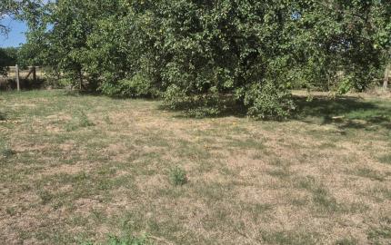 3-izbový kamenný RD Hernádcéce, Maďarsko – 90 m², pozemok 1498 m², 25 km od hranice