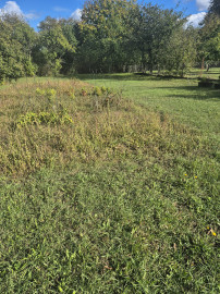 RD s veľkým potenciálom a ideálnym pozemkom v Méra