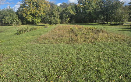 RD s veľkým potenciálom a ideálnym pozemkom v Méra