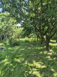 ZREKONŠTRUOVANÝ, GAZDOVSKÝ DOM S GÁNKOM v Méra, Maďarsko