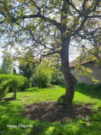 Úžasná záhrada, dobrá lokalita, menší dom v MÉRA