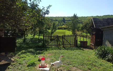CHALUPA/DOM S VEĽKÝM POZEMKOM – SZALASZEND (IBA 40 MIN. OD KOŠÍC)