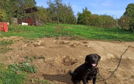 DOBRÝ DOM NA BÝVANIE V HERNÁDVÉCSE
