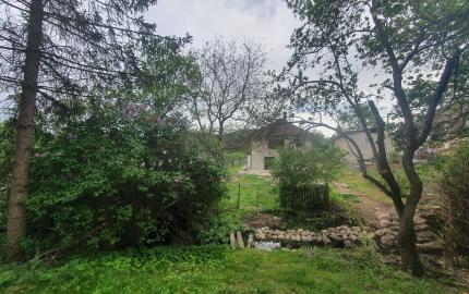 REZERVOVANÝ- EXKLUZÍVNE LEN PRE NÁROČNÝCH HOLLÓHÁZA