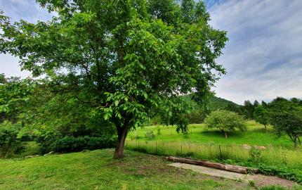 REZERVOVANÝ- EXKLUZÍVNE LEN PRE NÁROČNÝCH HOLLÓHÁZA
