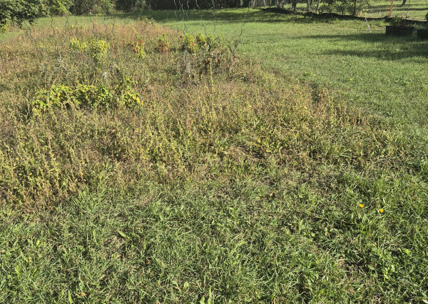 RD s veľkým potenciálom a ideálnym pozemkom v Méra