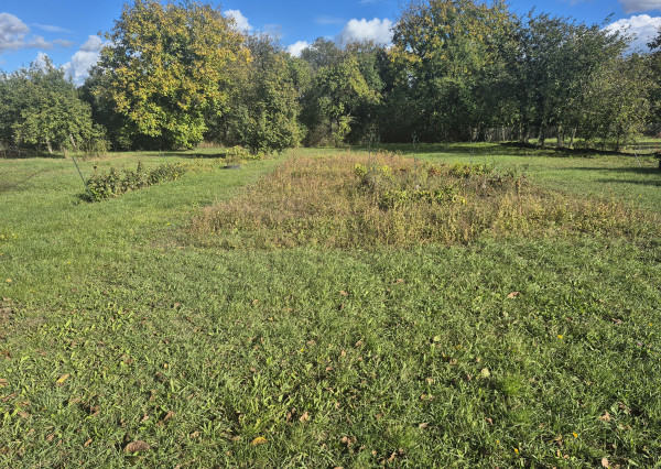 RD s veľkým potenciálom a ideálnym pozemkom v Méra