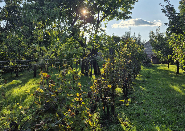 Vidiecky dom s výnimočnou záhradou v obci Méra