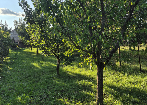 Vidiecky dom s výnimočnou záhradou v obci Méra