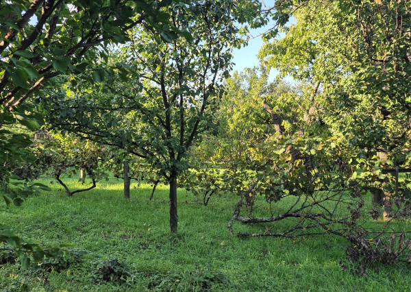 Vidiecky dom s výnimočnou záhradou v obci Méra