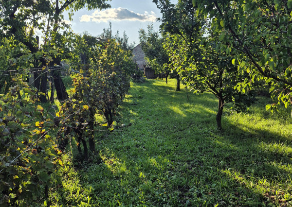 Vidiecky dom s výnimočnou záhradou v obci Méra