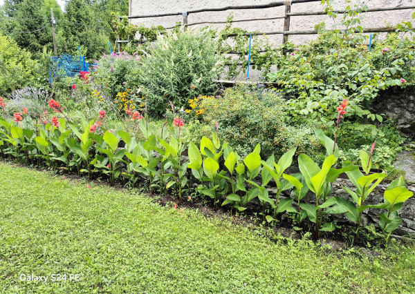 Gazdovský dom s výhľadom na hrad Füzér – 3400 m2 pozemok v objatí prírody