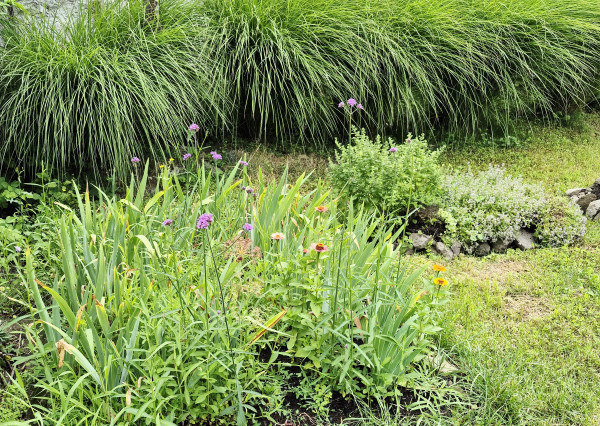 Gazdovský dom s výhľadom na hrad Füzér – 3400 m2 pozemok v objatí prírody