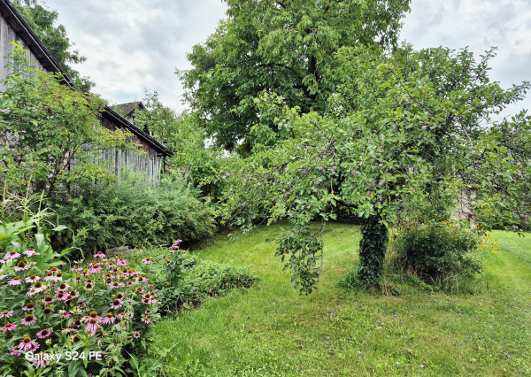 Gazdovský dom s výhľadom na hrad Füzér – 3400 m2 pozemok v objatí prírody