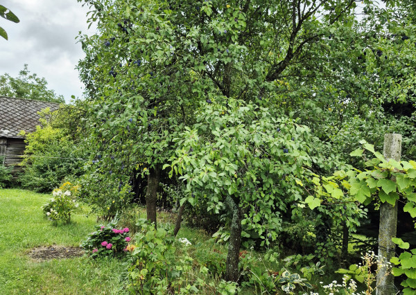 Gazdovský dom s výhľadom na hrad Füzér – 3400 m2 pozemok v objatí prírody