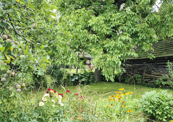 Gazdovský dom s výhľadom na hrad Füzér – 3400 m2 pozemok v objatí prírody