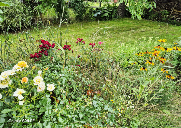 Gazdovský dom s výhľadom na hrad Füzér – 3400 m2 pozemok v objatí prírody